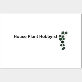 House Plant Hobbyist Hoya Posters and Art